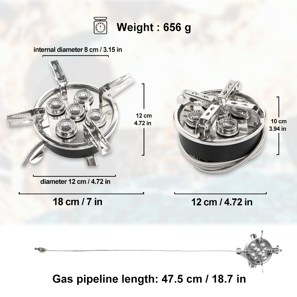 Widesea Camping 5in1 Gas Stove - Outdoor Kitchen Power Burner 评论和价格