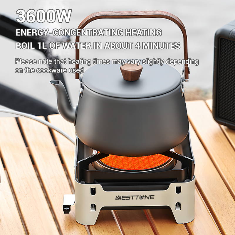 WESTTUNE Outdoor Infrared Comb - Outdoor Kitchen Power Burner 评论和价格